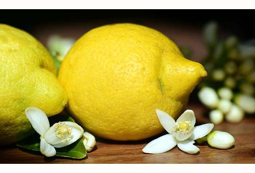 Lemon-Limone 